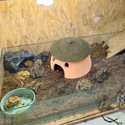 Frog and Toad House 8 x 6Inch Toad House for Outside Garden Reptile Cave Red Pottery Ceramics Small Reptile Cave Hide Reptile Hides and Caves Snake Toad Frog Turtle House Green with Lid