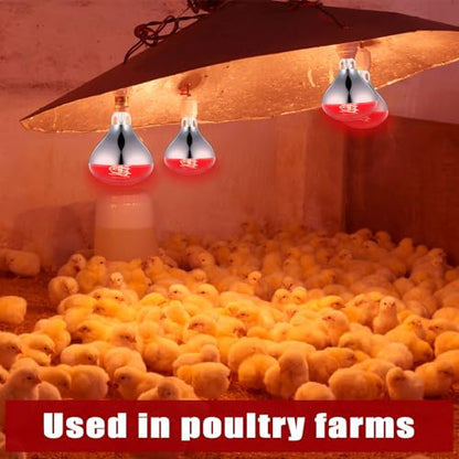 4 Pack 250 Watt Heat Lamp 120v R40 Heat Lamp Bulbs Glass Incandescent Light Bulbs Incandescent Heating Lightbulbs for Reptiles Chicks Food Puppies Bathroom, Use E26 Base (Red) - color: Red
