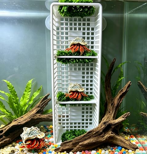 Hermit Crab Layered Rest Platform Hand-Woven Coral Fleece Reptile Habitat Grid Climbing Ladder Small Animal Cage Decoration Hermit Crab Accessories（Three Rooms）
