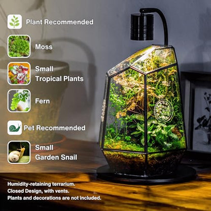 NCYP Closed Geometric Glass Enclosure with Front Opening Door & 2 Vent Holes for Insects, Snail, Moss, Fern - 7.9"x6.9"x9.8" Black Irregular Terrarium - Home Garden Tabletop Decor (No Plants)