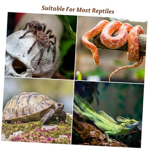Toyvian 6pcs Turtle Terrarium Lock Buckles Sturdy Clips for Reptile Tank Aquarium