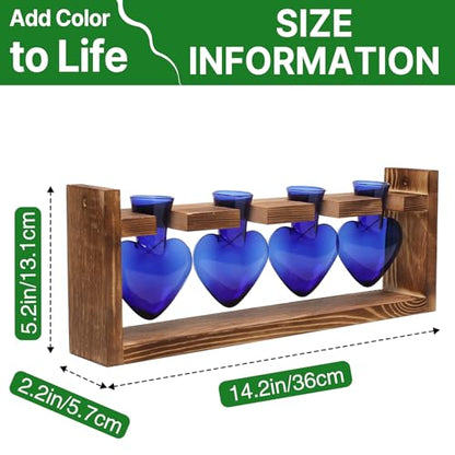 Plant Propagation Stations Heart Plant Terrarium Kit | Gift for Women Plant Lover Glass Vases - color: Blue