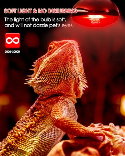 100W Reptile RED Heat Lamp Bulbs, Reptile & Amphibian Basking Spot Bulbs | UVA dimmable light for Chickens Coop Pets Brooder Bearded Dragon Lizard Tortoise Use, Pack of 2 - color: Red