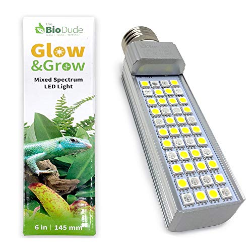 The Bio Dude 6" Glow & Grow Best Plant Growth Reptile & Amphibian LED Bulb for terrariums