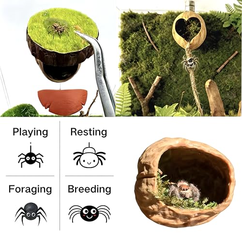 2pcs Jumping Spider Hideout,Accessories Enclosure,Magnet Hidden,Climbing Platform, Hiding Habitat from Natural Materials,Suitable for Small Insects