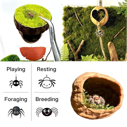 2pcs Jumping Spider Hideout,Accessories Enclosure,Magnet Hidden,Climbing Platform, Hiding Habitat from Natural Materials,Suitable for Small Insects