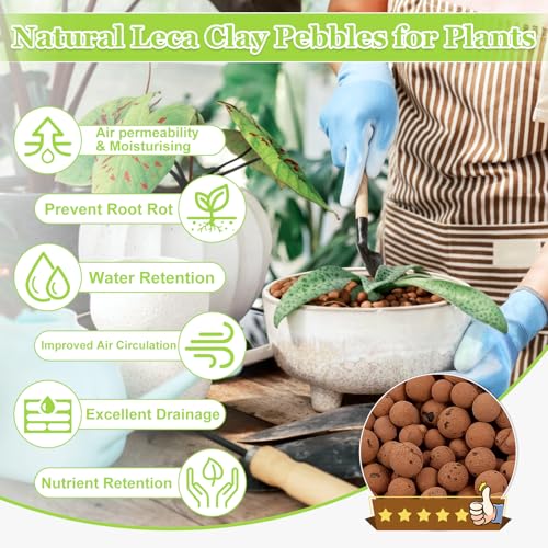 4LB Organic Leca Clay Pebbles for Plants, 4-16mm Natural Leca Balls | Reusable, Drainage, Aeration, Moisture Retention, Hydroponic, Lightweight for Orchids, Succulents, Terrarium, Indoor Plants - size: 4LB