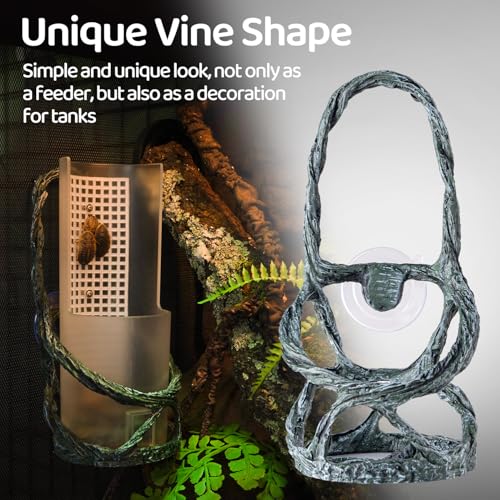 Chameleon Feeding Bowl, Resin Vine Reptile Feeder with Grid Plate for Insect to Climb and Move, Reptile Hunting Bowl with Suction Cup for Chameleon, Lizard, Bearded Dragons, Iguana, Gecko, Frog