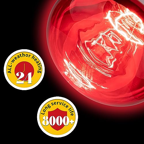 250 Watt Red Heat Lamp Bulbs, Chicken Infrared Incandescent Light Bulb, Brooder Heat Lamps for Chickens, Chicks, Reptile, Pets, Coop, Poultry, Food, Bathroom, Ceiling, E26 Base - 2 Pack