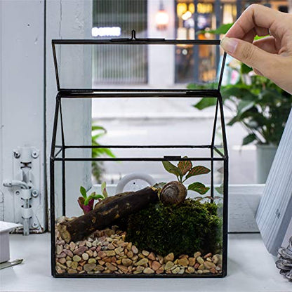 NCYP Small Glass Terrarium with lid for Air Plants Succulent - 5.9x4.4x6.4 Inches Handmade Geometric House Shape Close Glass Box for Snail, Black Tabletop Container (Glass Box Only)