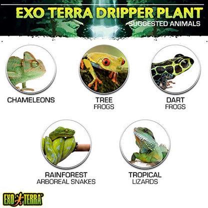 Exo Terra Dripper Plant, Large - size: Large