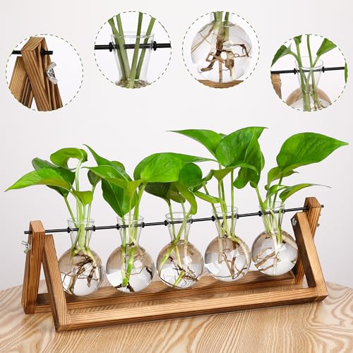 YIBOT Plant Propagation Stations with Wooden Stand & 5 Glass Bulb Vases | Tabletop Plant Terrarium for Propagating Hydroponic, Retro Glass Planter Flower Vase Home Kitchen Office Decor Gifts - size: 5Bulb-A