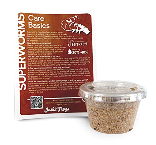 Josh's Frogs Superworms (25 Count) - size: 1 Count (Pack of 25)