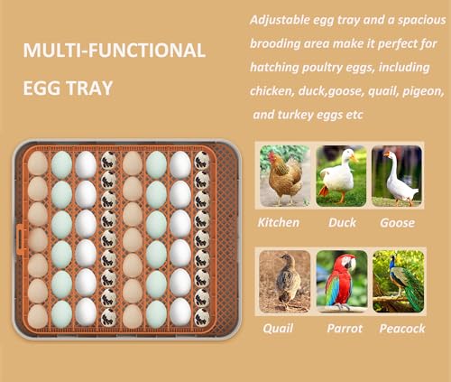 Egg Incubator for Hatching Eggs, Intelligent 56 Eggs Incubator with Temperature & Humidity Control, Automatic Egg Turning, Hatch Days & Egg Candler, Adjustable