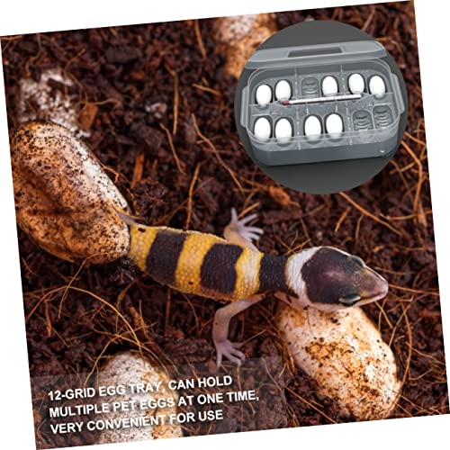 BESPORTBLE Egg Incubation Box for Reptiles Snake Gecko Incubator Trays 12 Egg Slots View Lightweight Safe for Boys and Girls