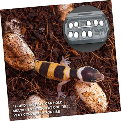BESPORTBLE Egg Incubation Box for Reptiles Snake Gecko Incubator Trays 12 Egg Slots View Lightweight Safe for Boys and Girls