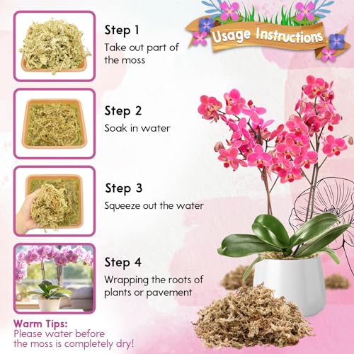 Riare 3.5oz Premium Sphagnum Moss for Plants- Natural Long Fiber Plant Moss | High Expansion, Moisture Retention & Drainage, Dried Orchid Moss for Succulent, Carnivorous, Ferns, Reptiles & Terrariums - size: 4QT/3.5oz