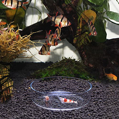 WEAVERBIRD 60mm Aquarium Shrimp Feeder Dish Glass Fish Tank Feeding Bowls Round Clear Dishes Tray - size: 60MM