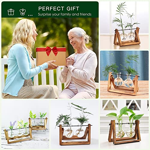 Kingbuy Glass Desktop Planter with Retro Wooden Stand, 2 Bulbs | Plant Terrarium Vase, Indoor Office Desk Decor, Accessories - size: 2 Bulb Vase