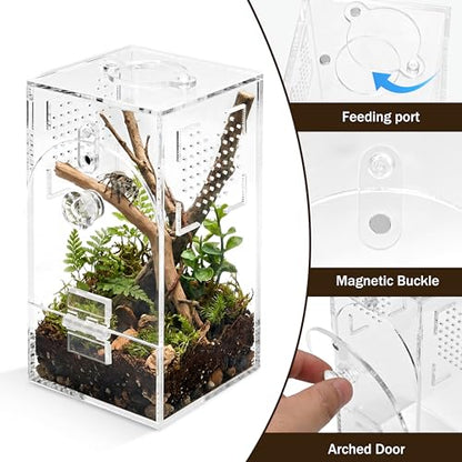 Jumping Spider Enclosure Set, Terrestrial Arboreal Combo, Acrylic Tarantula Terrarium, Praying Mantis Habitat, No Assembly, 2-Size Kit, Medium - size: Medium
