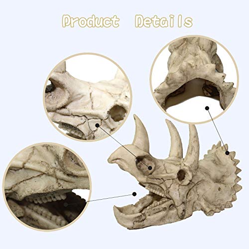 Tfwadmx Large Reptile Dinosaur Skull Decor, Bearded Dragon Tank Accessories, Lizard Hammock Hanging Plant Decor, Tank Decor for Bearded Dragons, Lizards, Chameleons, Geckos, Snakes(3Pcs)