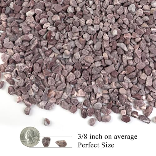 FANTIAN 2 lbs Succulent Cactus Rocks, 3/8 Inch Aquarium Gravel, Red | Small Stones Pebbles for Indoor Plants, Vases, Fish Tank, Terrarium, Pot Top Dressing, Drainage, Outdoor Garden Landscaping - color: Red Gravel