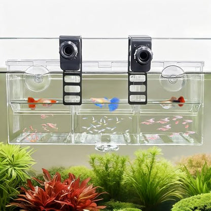 Triple-Chamber Aquarium Fish Breeder & Isolation Box, Transparent Hatching Incubator Tank with Suction Cups & Hook, Nursery for Livebearer Guppy Fry Breeding and Betta Fish, Shrimp Quarantine - size: Triple-Chamber (10.23*3.62*4.33 IN)