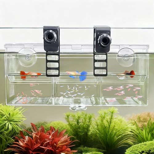 Triple-Chamber Aquarium Fish Breeder & Isolation Box, Transparent Hatching Incubator Tank with Suction Cups & Hook, Nursery for Livebearer Guppy Fry Breeding and Betta Fish, Shrimp Quarantine - size: Triple-Chamber (10.23*3.62*4.33 IN)