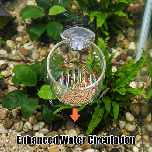 3 Pcs Aquarium Plant Holder for Java Fern Live Plant for Aquarium Suction Cup Clear Acrylic Fish Tank Aquascape for Moss Balls Marimo Betta Shrimp Decor Accessories Anubias Java Moss Cup