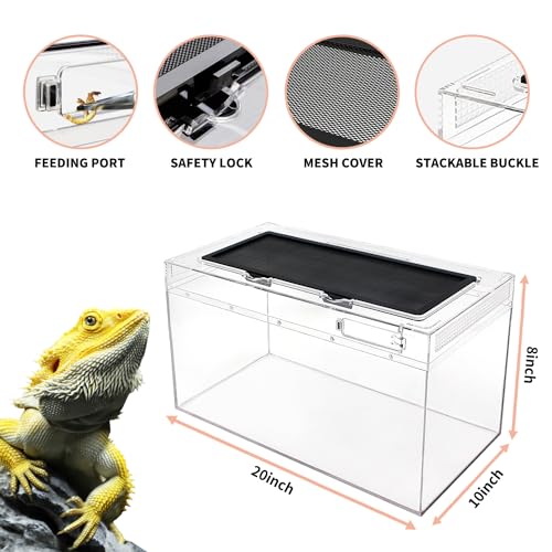 Reptile PC Terrarium Set, Reptile Tank 20" x 10"x 8",for Insect，Fish，Tarantula，Hermit Crab，Jumping Spider，Iguana，Tortoise，Leopard Gecko，Bearded Dragon - size: 20" x 10"x 8"