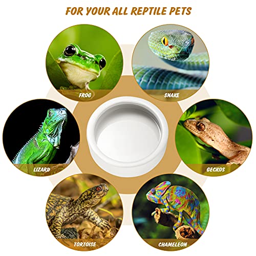 Reptile Food Dish Bowl 2Pcs Lizard Gecko Worm Water Bowls Small (2.75in) | Anti-escape Ceramic Mealworms Bowls for Leopard Bearded Dragon Chameleon Hermit Crab Dubia Cricket Feeding, Superworm Feeder