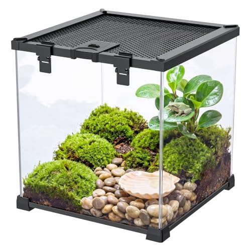 7 Gallon Fully Assembled Glass Reptile Enclosure,12"x 12" x 12" | Top Opening & Escape-Proof Reptile Terrarium Tank for Frog,Geckos,Tarantulas and Other Reptiles and Amphibians - size: 12“L x 12"W x 12"H
