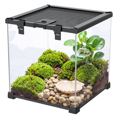 7 Gallon Fully Assembled Glass Reptile Enclosure,12"x 12" x 12" | Top Opening & Escape-Proof Reptile Terrarium Tank for Frog,Geckos,Tarantulas and Other Reptiles and Amphibians - size: 12“L x 12"W x 12"H