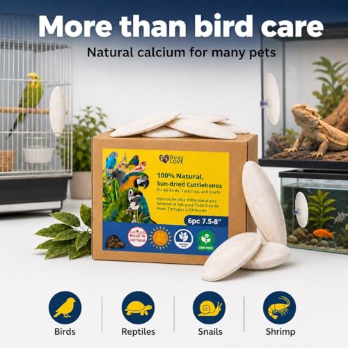 Birds LOVE 7.5-8" Cuttlebone for Birds – 100% Natural Sun-Dried Calcium Carbonate Mineral Supplement – for Parakeets, Budgies, Cockatiels, Finches & Canaries – 6 Pack with Holder – Made in Vietnam - size: 6 Count (Pack of 1)