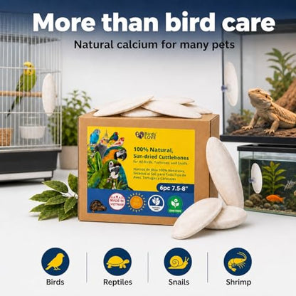 Birds LOVE 7.5-8" Cuttlebone for Birds – 100% Natural Sun-Dried Calcium Carbonate Mineral Supplement – for Parakeets, Budgies, Cockatiels, Finches & Canaries – 6 Pack with Holder – Made in Vietnam - size: 6 Count (Pack of 1)