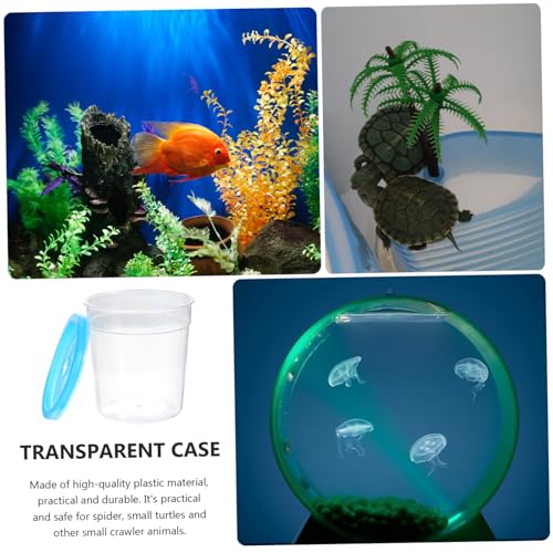 Hemoton Transparent Reptile Feeding Box with Lid Mini Insect Cup for Tortoise Betta and Frogs Safe Durable Container for Pets and Easy Feeding