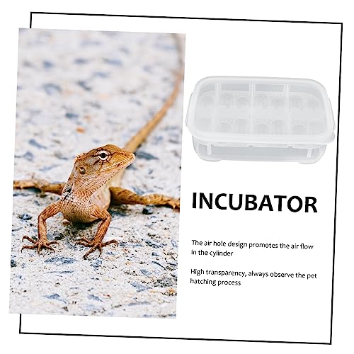 BESPORTBLE 1pack Reptile Breeding Box for Hatching Lizard Eggs Lightweight and Incubator for Geckos Snakes and Reptiles Easy to Use and Store