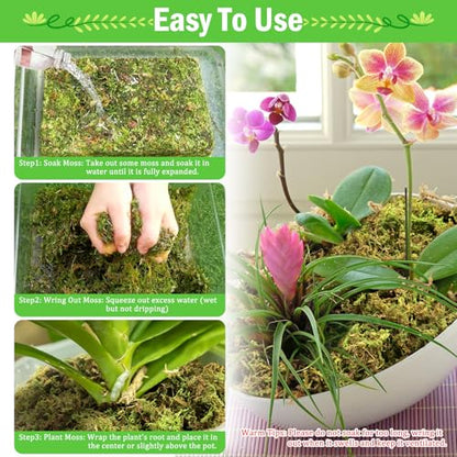 Riare 7OZ Premium Sphagnum Moss for Plants- 10QT Natural Dried Plant Moss | Moisture Retention & Drainage Orchid Moss for Repotting, Succulents, Carnivorous, Ferns, Green Moss for DIY Craft, Reptiles - size: 10 QT(Appx.7oz)