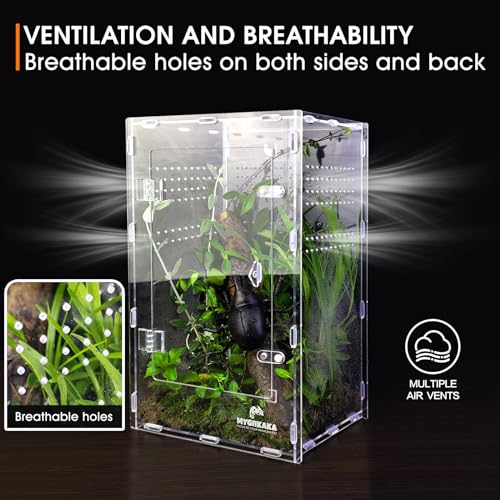 Acrylic Jumping Spider Enclosure - Insect Terrarium for Spiders, Mantises, Tarantulas & Frogs - size: Large