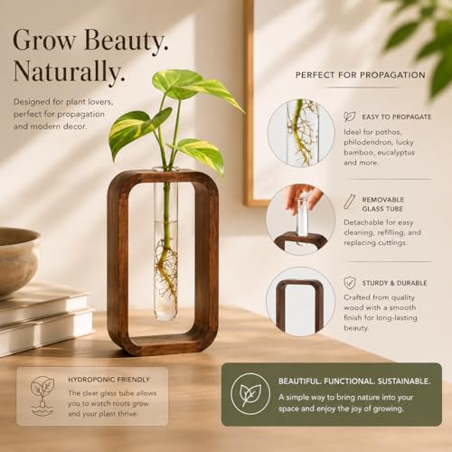 Modern Wooden Frame Glass Vase Hydroponic Planter – Minimalist Square Propagation Station with Test Tube Vase – Indoor Plant Terrarium for Flower, Cuttings & Home Office Decor
