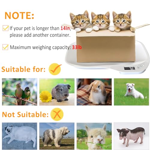 Small Animal Digital Scale, 14" x 10" Pet Weighing Scale Max 33lbs | Small Pet Scales for Weighing with LCD Display, Hamster Kitten Puppy Scale, Electronic Kitchen Food Scale, for Newborn Pets