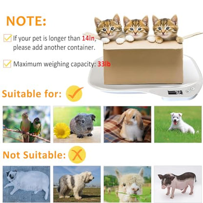 Small Animal Digital Scale, 14" x 10" Pet Weighing Scale Max 33lbs | Small Pet Scales for Weighing with LCD Display, Hamster Kitten Puppy Scale, Electronic Kitchen Food Scale, for Newborn Pets