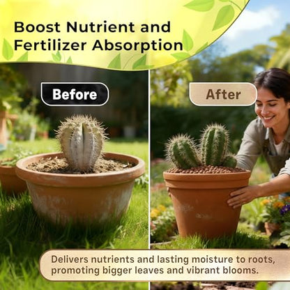 Professional Clay Pebbles for Plants, Expanded Clay Pebbles 2.2 Qt | Clay Pebbles for Plants Hydroponic Promote Healthy Root Growth, Improve Drainage, and Support Vigorous Plants Year-Round - style: Clay Pebbles Soil Additive (2.2 Quarts)