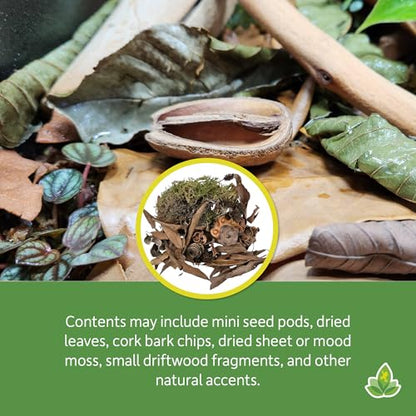 Josh's Frogs EcoScape Assorted Décor Pack (Small)