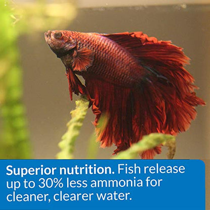 API BETTA FOOD Fish Food Pellet .78-Ounce Container - size: 1 Ounce (Pack of 1)