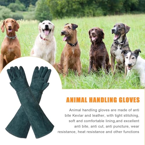 suade Gauntlet Protectors - Animal Handling Gloves, High Temperature Oven Grill Stove Shield, Cut Resistant Accessory Case - color: B
