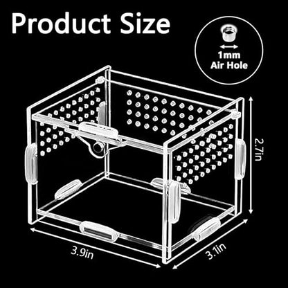 Mini Acrylic Spider Enclosure, Clear Habitat with 1mm Ventilation | Compact clear acrylic enclosure with 1 mm ventilation holes for jumping spiders and other small invertebrates. - size: Small Square Acrylic Terrarium