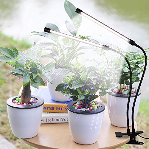 LED Grow Light,6000K Full Spectrum Clip Plant Growing Lamp with White Red LEDs for Indoor Plants,5-Level Dimmable,Auto On Off Timing 4 8 12Hrs | Desk Lamp with White Red LEDs for Indoor Plants,Clamp with Flexible Gooseneck,5-Level Dimmable,Auto Timer 4 8