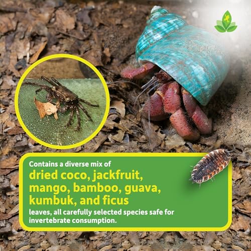 Josh's Frogs Compressed Natural Tropical Leaf Litter Brick, 500g | All-Natural Leaf Fragments for Isopods, Millipedes, Crabs, Detritivores