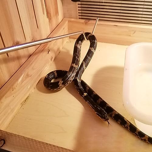 Totority Stainless Steel Retractable Snake Hook Tool Professional Reptile Supplies for Snakes and Reptiles Easy to Carry Duckbill for Safe Handling